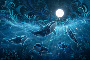 Orca Luna - Canvas Prints