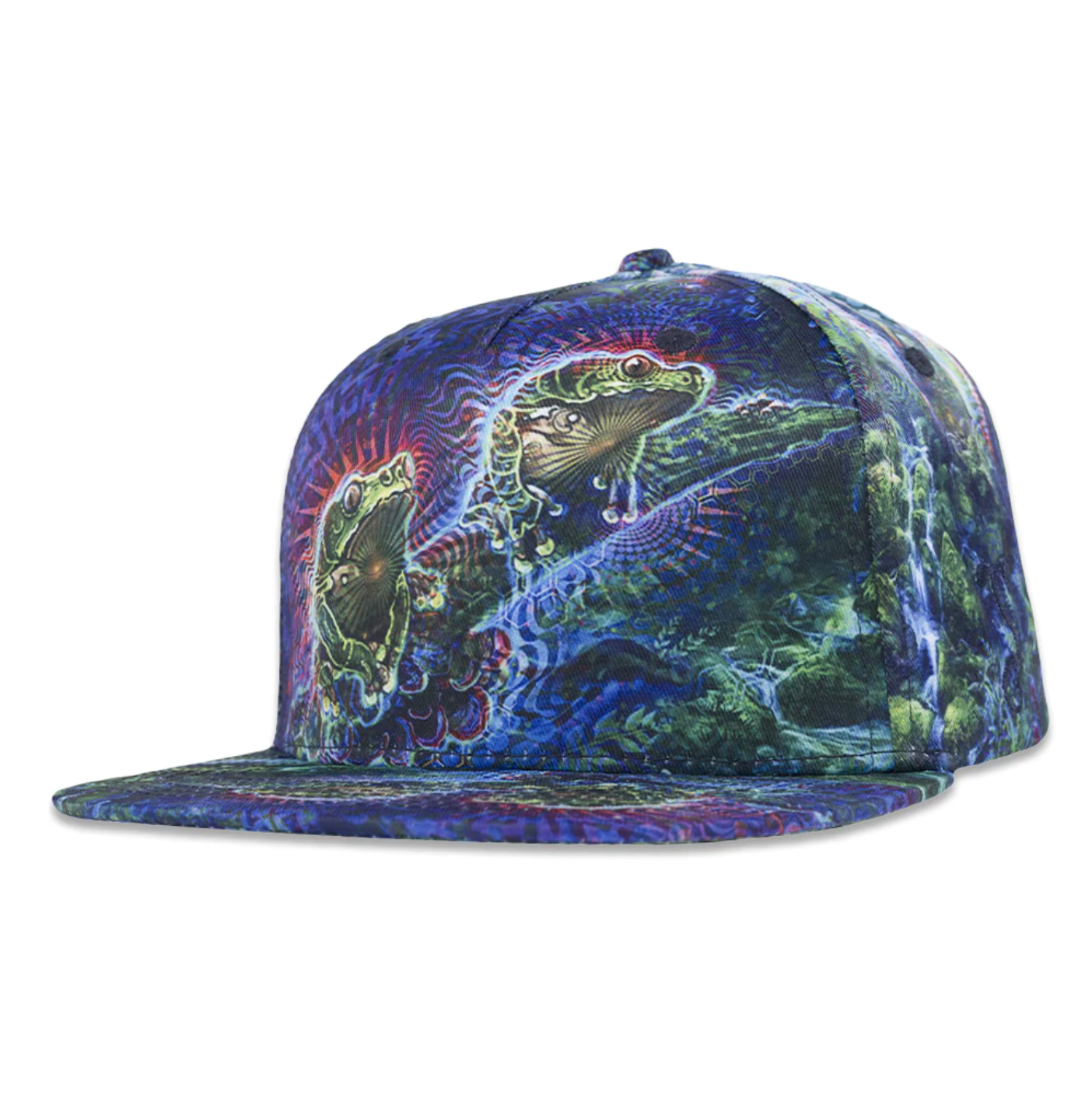 Simon Haiduk Snow Secret Snapback Hat Multi / Snapback / L/XL