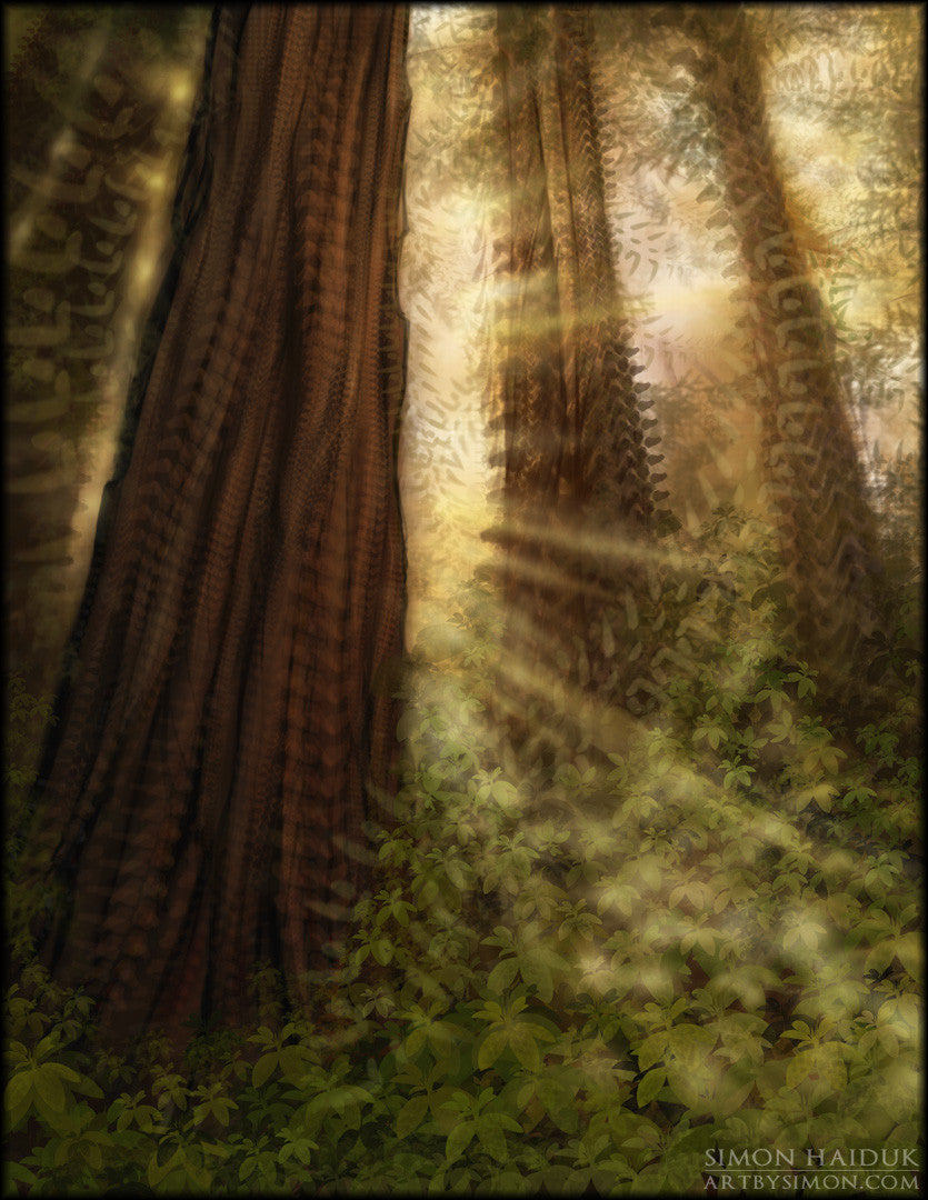 Boughs of Gold - Canvas Prints