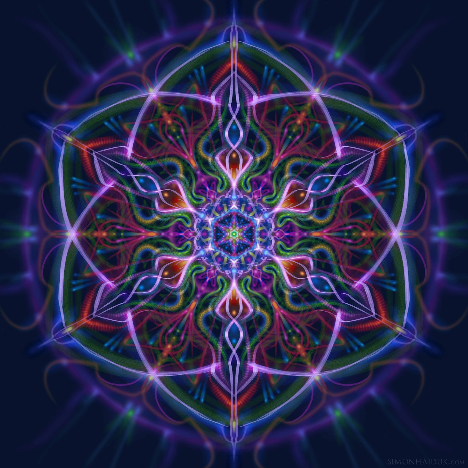 Caapi Seed - Paper Prints