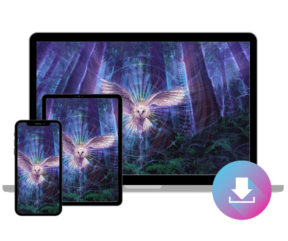 Night Owl - Digital Wallpaper