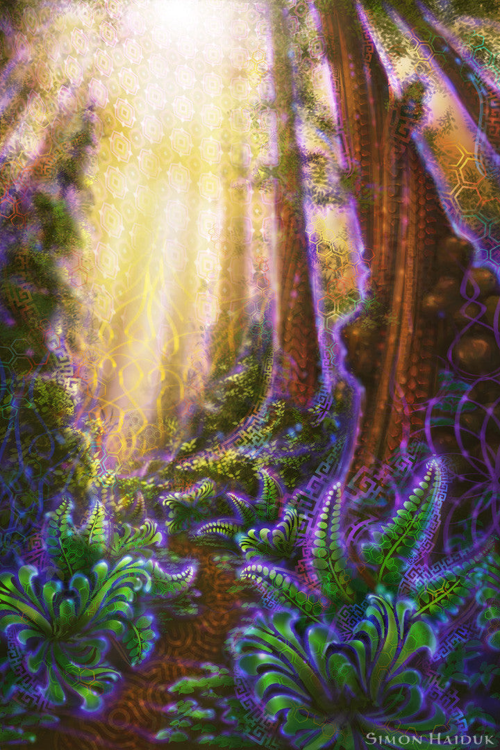 Metta Grove - Canvas Prints