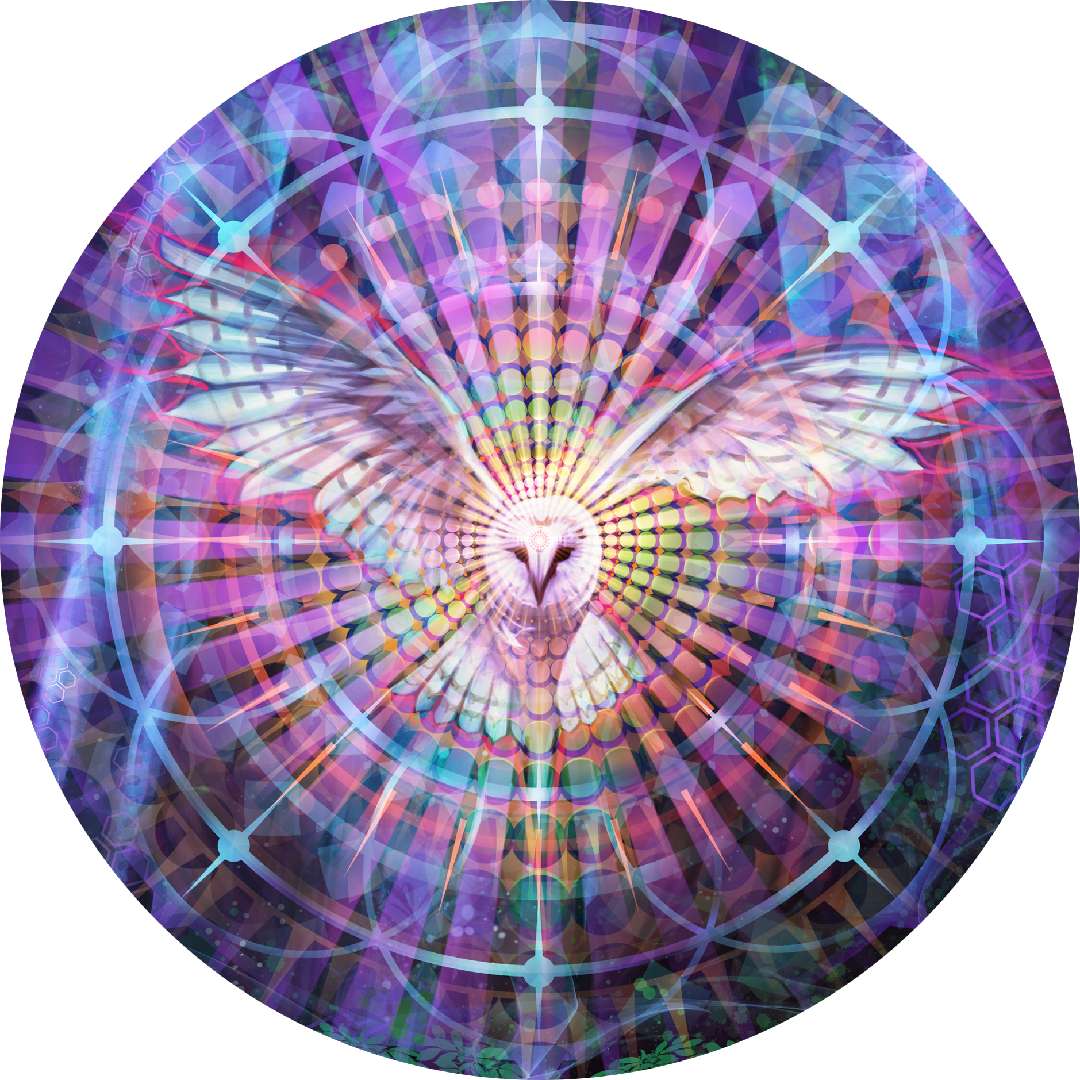 Night Vision - Sticker