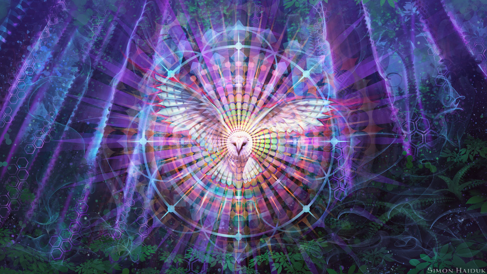 Night Vision - Paper Prints