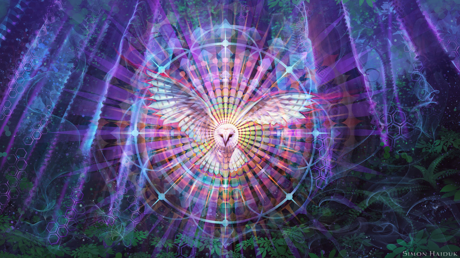 Night Vision - Canvas Prints