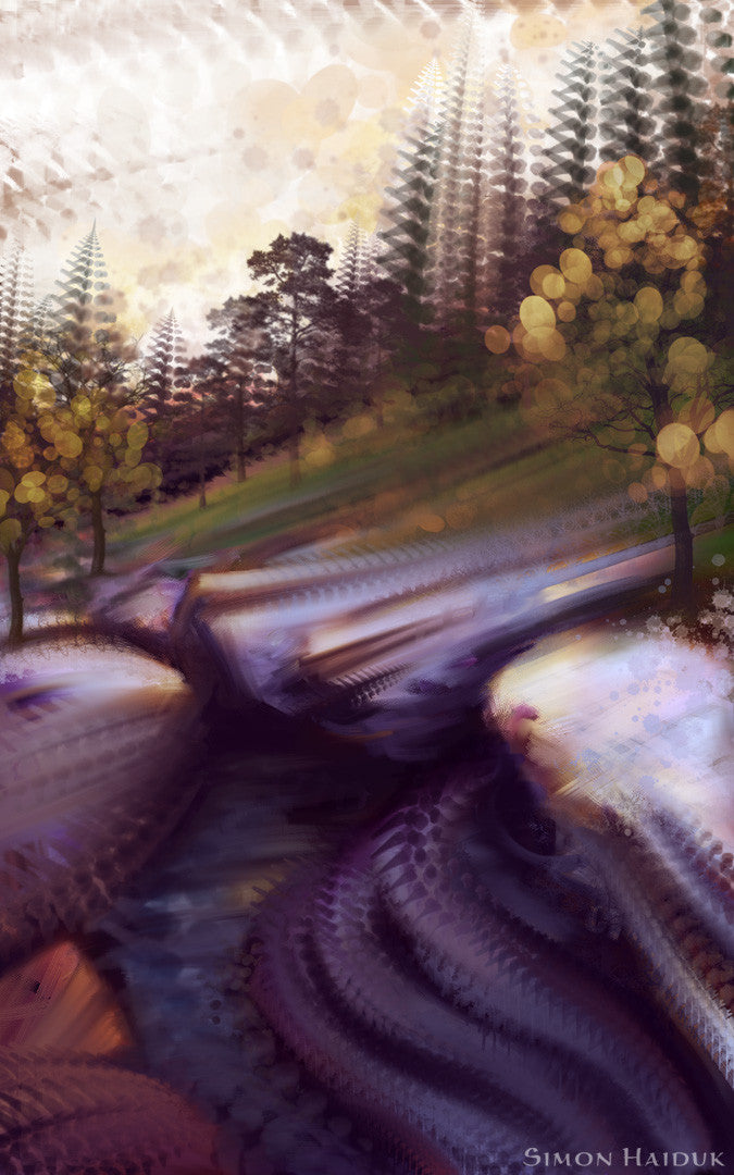 Rose's Canyon Wild - Canvas Prints