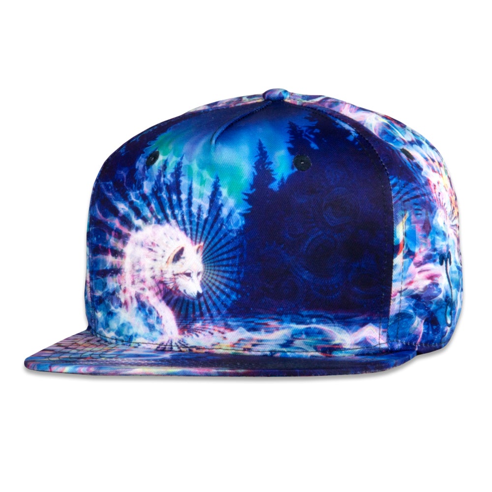 Simon Haiduk Snow Secret Snapback Hat Multi / Snapback / L/XL