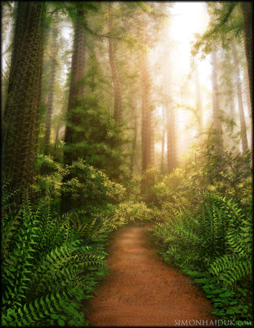 Sanctuary - Canvas Prints