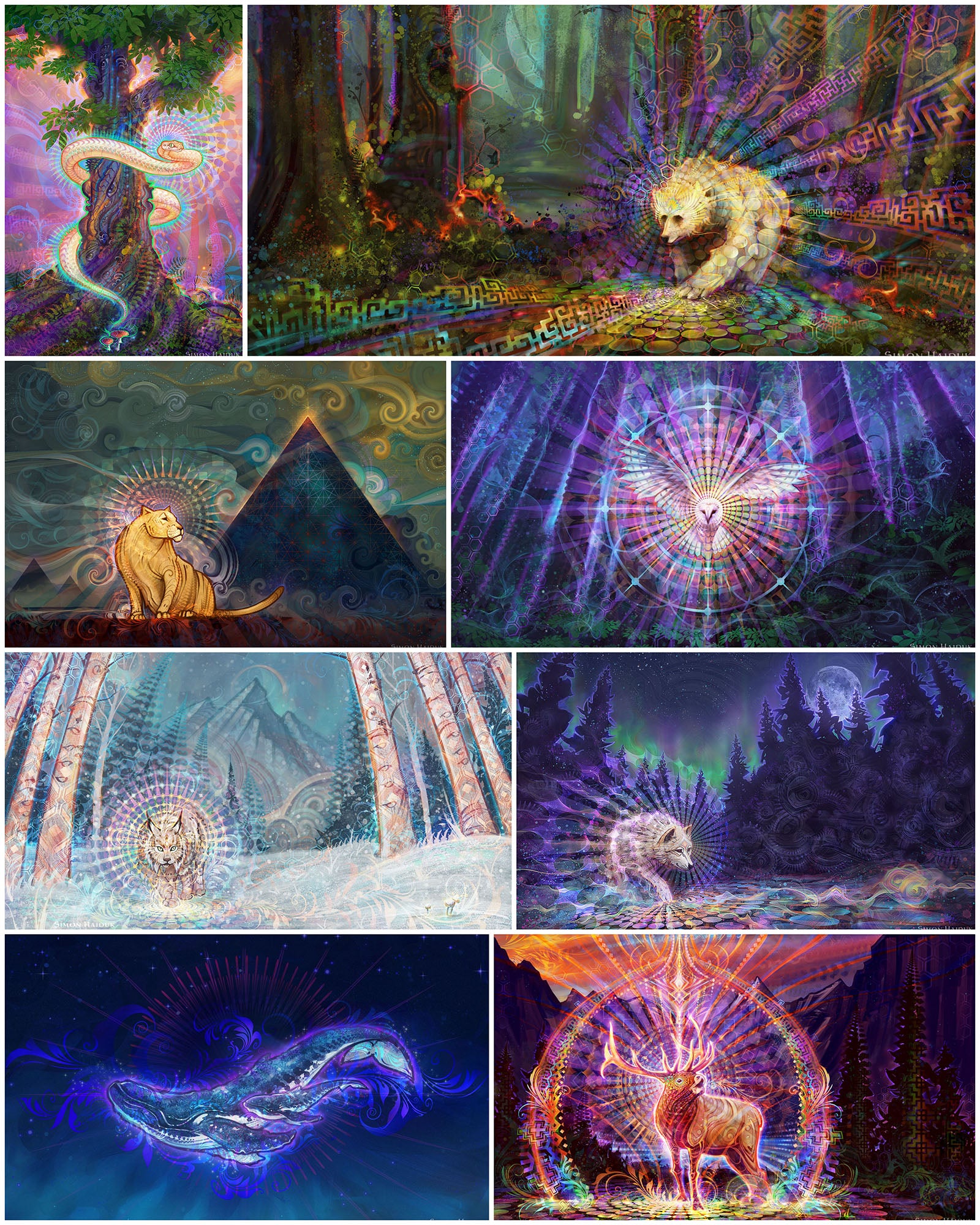 Wildlife Wallpapers Set 1